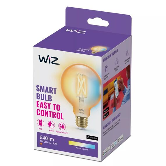 WiZ Filament-Lampe in Kugelform, Bernstein 50 W G95 E27, 2 image
