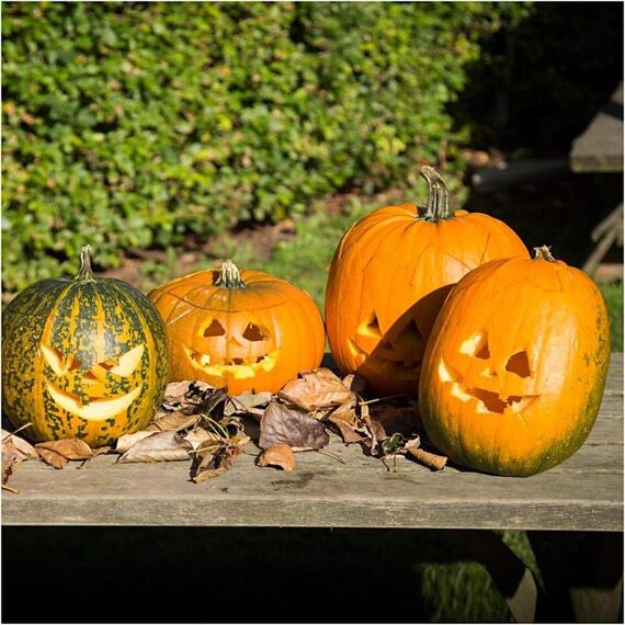 Creativ Company Pumpkin Carving Kit, 5 image