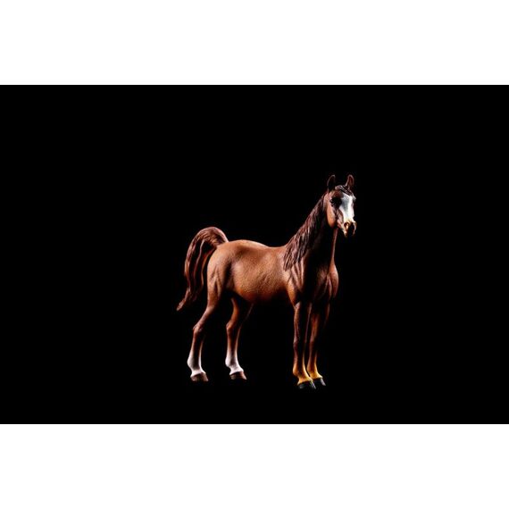 schleich Araber Stute (larger scale), 6 image