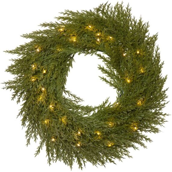 Star Trading Thuja