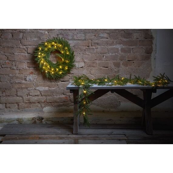 Star Trading Thuja, 4 image