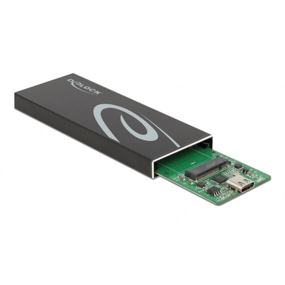 DeLOCK Externes Gehäuse für M.2 SATA SSD mit USB Type-C Buchse