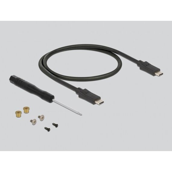 DeLOCK Externes Gehäuse für M.2 SATA SSD mit USB Type-C Buchse, 3 image