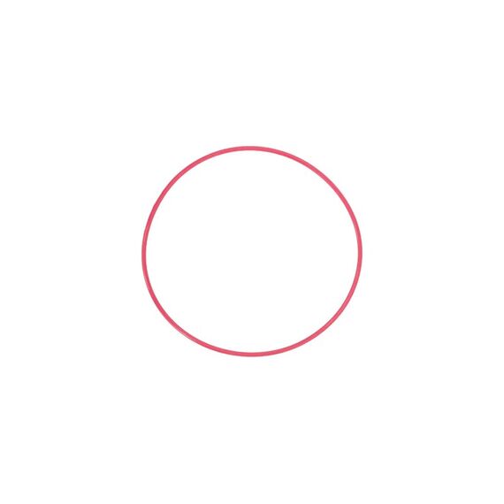 OM Digital Solutions Olympus POL-053 O-Ring Kunststoff Rot