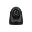 AVer DL30 Webcam 2 MP 1920 x 1080 Pixel USB Schwarz