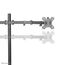 Neomounts FPMA-D550DBLACK Monitorarm 10-32", 5 image