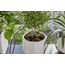 Gardena 13366-20 Tropfbewässerungssystem, 3 image