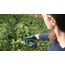 Bosch AdvancedShear 18V-10 Akku-Grasschere 10 cm Lithium-Ion (Li-Ion) Schwarz, Grün, 5 image