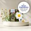 Epson Daisy 18 Gänseblume Claria Home Multipack 4 Farben Tinte, 4 image
