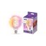 WiZ Filament-Lampe in Kugelform, transparent, 40 W G95 E27, 2 image