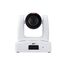 AVer PTZ231 2 MP Weiß 1920 x 1080 Pixel 60 fps Exmor CMOS 25,4 / 2,8 mm (1 / 2.8")