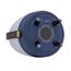 Kooduu Lite-up PLAY Mini Tragbarer Mono-Lautsprecher Blau, Weiß, Holz 8 W, Farbe: Blau, Weiß, Holz, 5 image