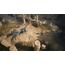 THQ Titan Quest 2 (Xbox Series X) Standard Mehrsprachig, 5 image