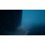 THQ REANIMAL (Playstation 5) Standard Mehrsprachig, 4 image
