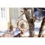 Windhager 07678 Vogelhäuschen Holz Hängend, 2 image