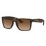 Ray-Ban Justin Classic Sonnenbrille Quadratisch