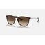 Ray-Ban Erika Classic Sonnenbrille Oval, 2 image