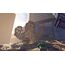Warner Bros LEGO: Marvel Super Heroes Standard Nintendo Switch, 2 image