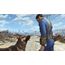 Bethesda Fallout 4: Anniversary Edition - Code in a Box, 11 image