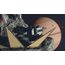 Bethesda Starfield Standard PlayStation 5, 4 image