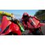 Milestone MotoGP 26 - Day One Edition, 3 image