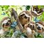 Ravensburger 12000203 Puzzle Puzzlespiel 500 Stück(e) Tiere, 2 image