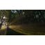 Microsoft Fable, 6 image
