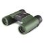 Kowa 8x25 SV II Fernglas Grün