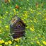 Wildlife Community ARTBEE Freistehend Holz, 2 image