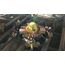Capcom Monster Hunter Generations Ultimate, Switch Standard Nintendo Switch, 2 image