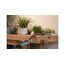 Gardena 18846-20 Garten-Wasserspritzpistole Garten Wassersprühdüse Grün, Grau, Orange, 3 image