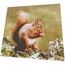 Paper + Design Servietten - Eichhörnchen, 3 image
