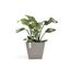 Ecopots Rotterdam Beige 1 Stück(e)