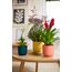 elho 8711904480974 Blumentopf Pink Kunststoff, Farbe: Pink, 5 image