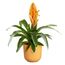 elho 8711904528188 Blumentopf Gelb Kunststoff, Farbe: Gelb, 2 image