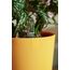 elho 8711904528188 Blumentopf Gelb Kunststoff, Farbe: Gelb, 4 image