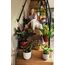 elho 8711904528188 Blumentopf Gelb Kunststoff, Farbe: Gelb, 6 image