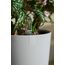 elho 8711904528157 Blumentopf Weiß Kunststoff, Farbe: Weiß, 5 image