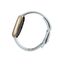 Fitbit Sense 2 Digital Touchscreen Gold GPS, 3 image