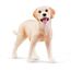 schleich FARM WORLD 42578 Spielzeug-Set, 6 image
