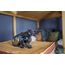 schleich ELDRADOR CREATURES 70152 Kinderspielzeugfigur