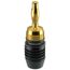 ClickTronic 52546 Drahtverbinder Banana plug Schwarz, Gold, 2 image