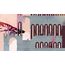 FLASHPOINT Gris Standard Vereinfachtes Chinesisch, Traditionelles Chinesisch, Deutsch, Englisch, Spanisch, Französisch, Italienisch, Koreanisch, Portugiesisch PlayStation 5, 6 image