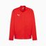 PUMA teamGOAL