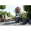 elho 8711904333201 Blumentopf Schwarz Kunststoff, 6 image