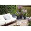 elho 8711904333201 Blumentopf Schwarz Kunststoff, 8 image