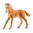 schleich HORSE CLUB 42567 Spielzeug-Set, 12 image