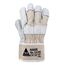 ACE 761304 Handschutz Werkstatthandschuhe Beige Leder 12 Stück(e), 3 image