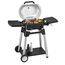 Trisa Grill Force 2200 Elektro Schwarz, Silber 2200 W