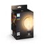 Philips E27 - Filament Giant Globe G125 - 550, 6 image